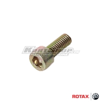Cylinderbolt M6 x 16 mm til Powervalve, Rotax Max