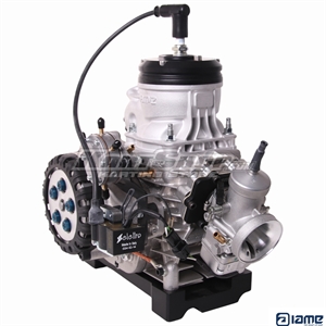 Motor, Iame R125Z, KZ/KZ2, 2026