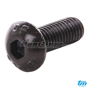 Buttonhead, M5 x 14 mm, TM
