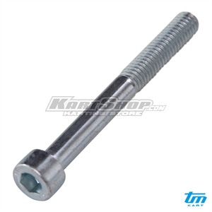 Cylinderbolt, M6 x 55 mm
