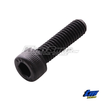 Bolt M6 x 22, TM