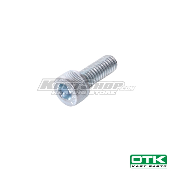 Cylinderbolt M6 x 16 mm