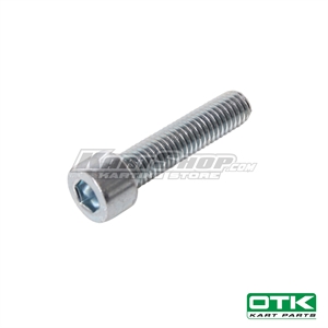 Cylinderbolt M8 x 35mm