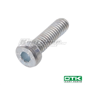 Cylinderbolt, M6 x 20 mm