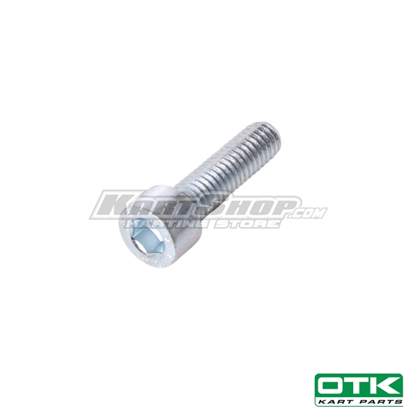 Cylinderbolt M6 x 22 mm