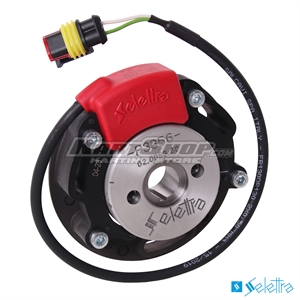Stator med Rotor, Selettra, Rok GP